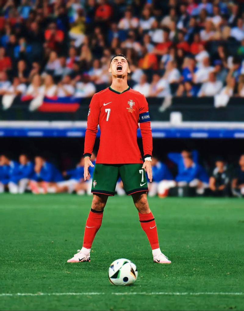 何占点与补 何占点与补